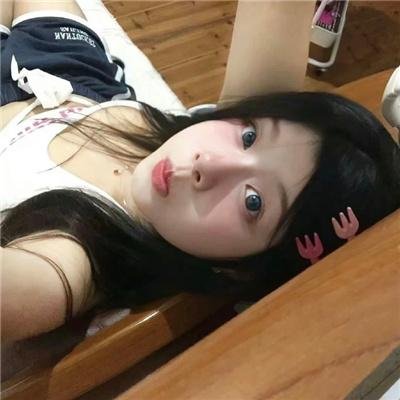 小猫熊历险记